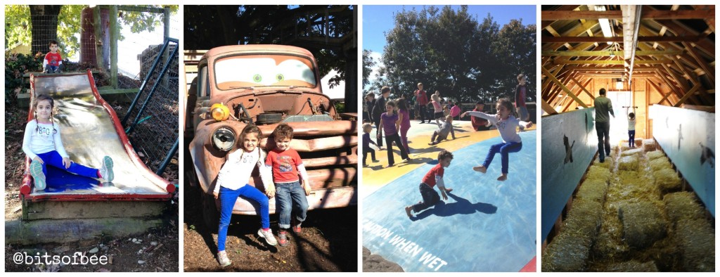 Taves Farm - Kid Activities