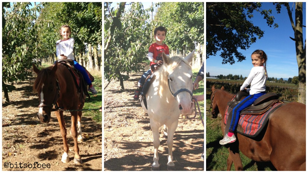 Taves Farm - Pony Rides